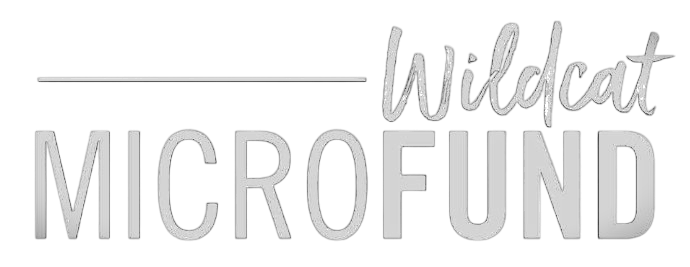 MicroFund Logo